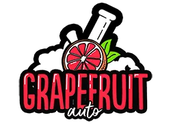 FastBuds Grapefruit (Auto) 3 Stück