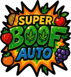 FastBuds Super Boof (Auto) 3 Stück