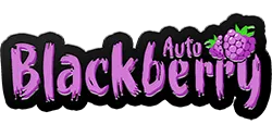 FastBuds Blackberry (Auto) 3 Stück