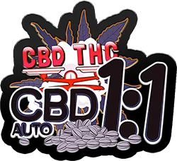 FastBuds CBD 1:1 - CBD Crack (Auto)