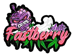 FastBuds Fastberry (Auto) 3 Stück