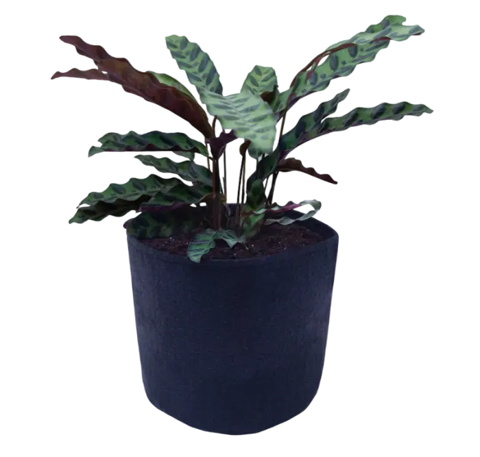 FeltPot Stofftopf rund 5 Liter