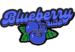 FastBuds Blueberry (Auto) 3 Stück