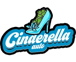 FastBuds Cinderella (Auto) 3 Stück