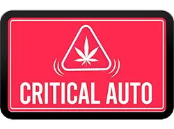 FastBuds Critical (Auto) 3 Stück