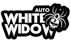 FastBuds White Widow (Auto) 3 Stück