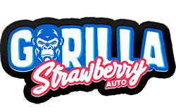 FastBuds Strawberry Gorilla (Auto) 3 Stück