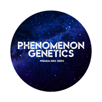 Phenomenon Genetics Logo