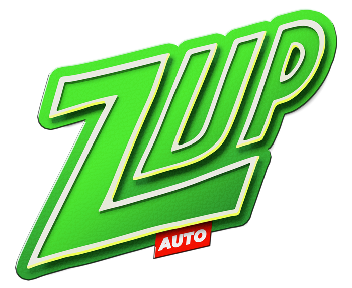 FastBuds Z-Up Logo