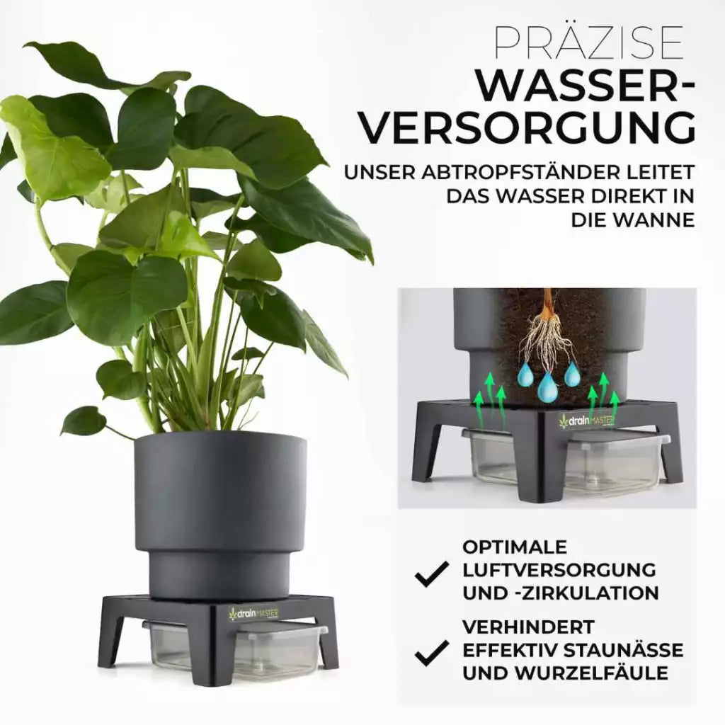DrainMaster 1er Set Blumentopf Untersetzer