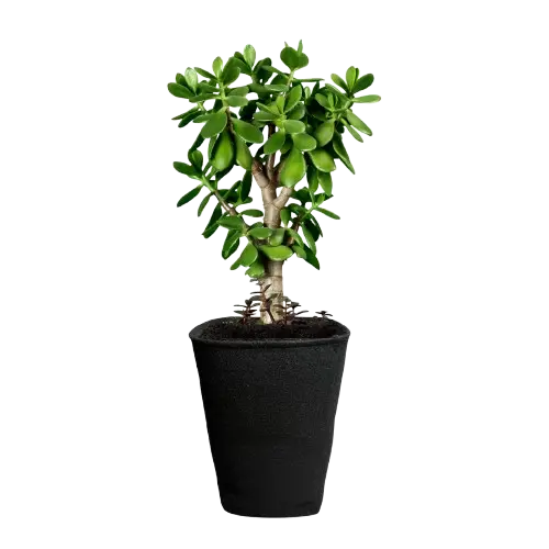 FeltPot Stofftopf quadratisch 15 Liter Auto 1Pot