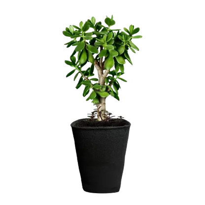 FeltPot Stofftopf quadratisch 18 Liter