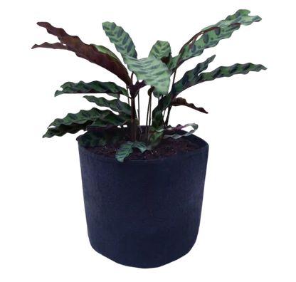 FeltPot Stofftopf rund 5 Liter