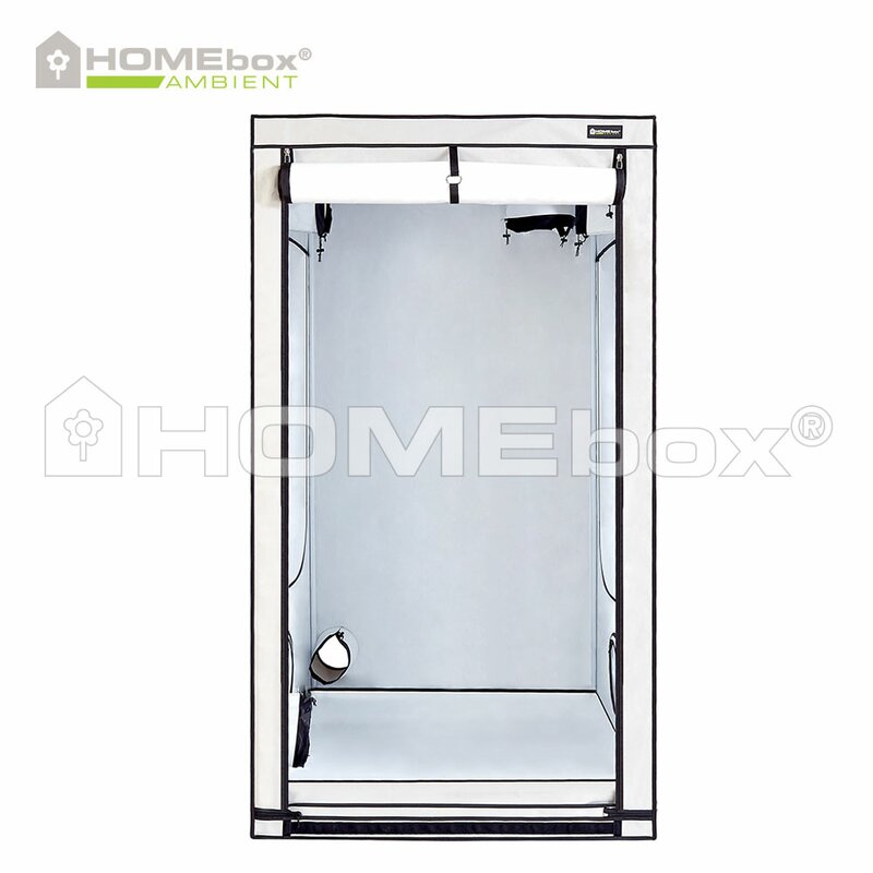 homebox ambient q120