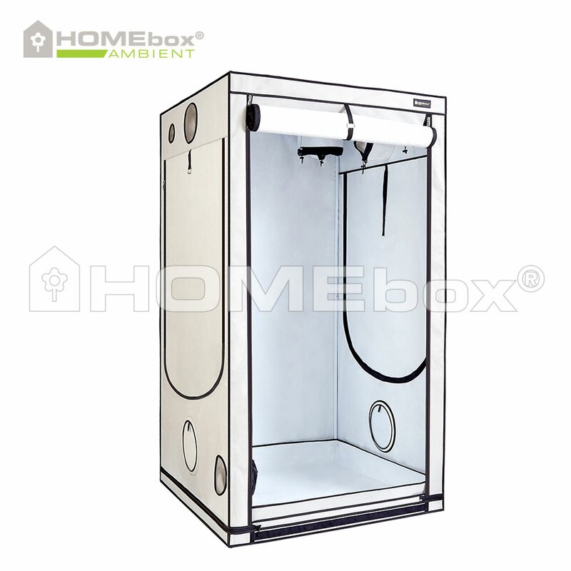 homebox ambient q120