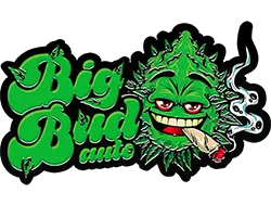 FastBuds Big Bud (Auto) 3 Stück