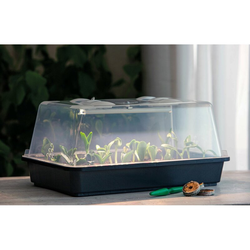 Romberg Gewächshaus Lumio M (inkl. 5W LED)
